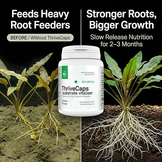 ThriveCaps Aquarium Root Caps – Premium Root Fertilizer for Live Plants – Slow Release – Strong NPK + Micros – Safe for Shrimp & Snails – 60 Count