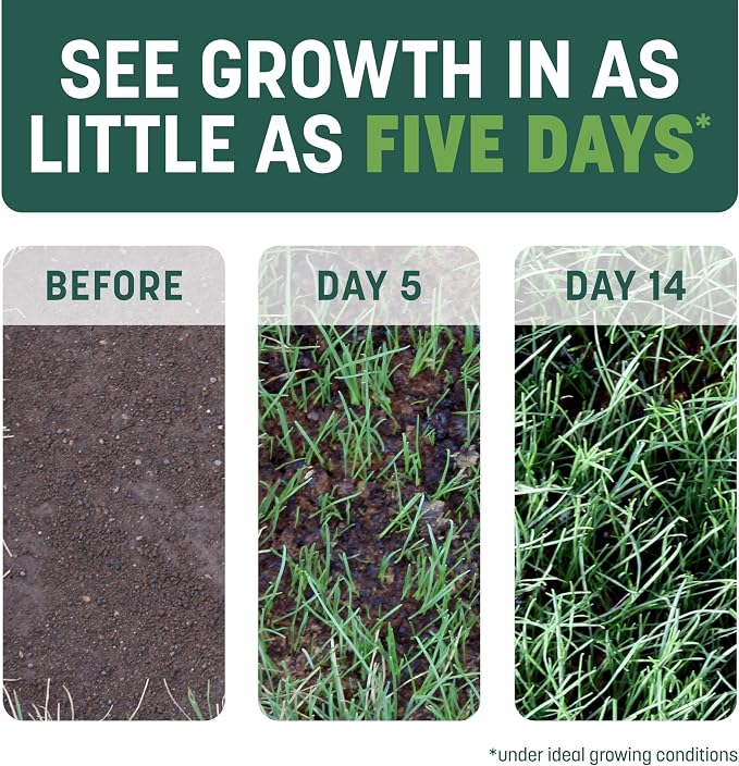 Pennington Smart Patch Grass Seeds for Lawn, Sun and Shade Lawn Grass Repair Mix, 10 LB