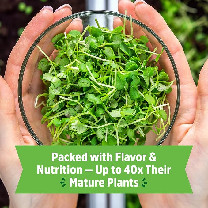 Back to the Roots Organic Microgreens Grow Kit with Ceramic Planter, Expandable Soil, Organic Seeds, and Germination Lid