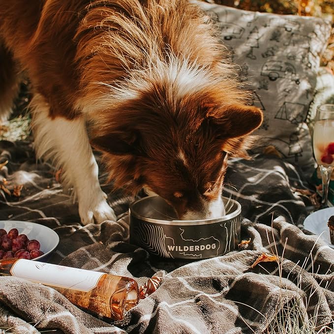 Widlerdog Stainless Steel Dog Bowl with Extra Durable Kitchen-Grade BPA-Free Stainless Steel with Non-Slip Rubber Ringed Bottom (Seafoam, 32 oz)