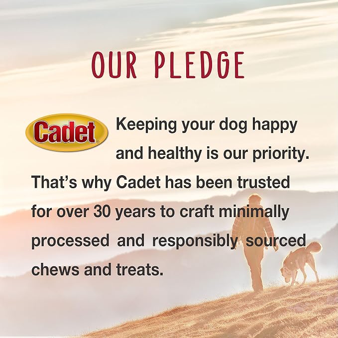 Cadet Gourmet Chicken Jerky Dog Treats For Training - Healthy & Natural Dog Training Treats for Small & Large Breeds - Inspected & Tested in USA (28 oz.)