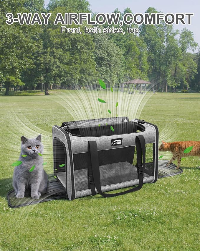 Soft-Sided Large Cat Carrier for 2 Cats, Spacious Foldable Pet Travel Carrier for Large Cats up to 25 Lbs, Double Cat Bag with Shoulder Strap, 20x13x13 Inch, Fits Maine Coon and Small Dogs, Grey