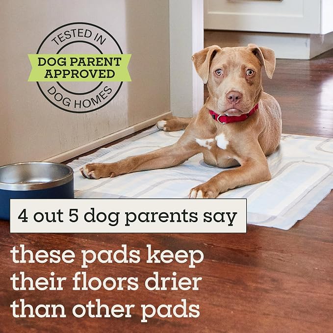 Pet Life Unlimited Smart Prints XL Puppy Pads for Dogs, Potty Training Pee Pads, 52 Count, 26" x 30", Leak-Proof, Super Absorbent, Quick-Dry, Patterned Pads with Odor Control, Made in USA