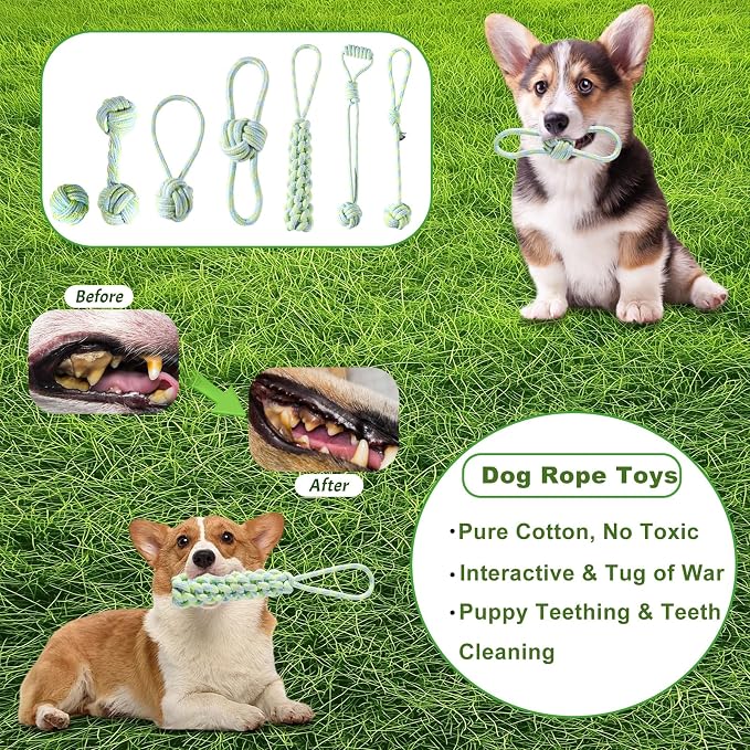 Dog Toy Set, 24 Pack Puppy Teething and Rope Chew Toys with Storage Box, for Small and Medium Dogs