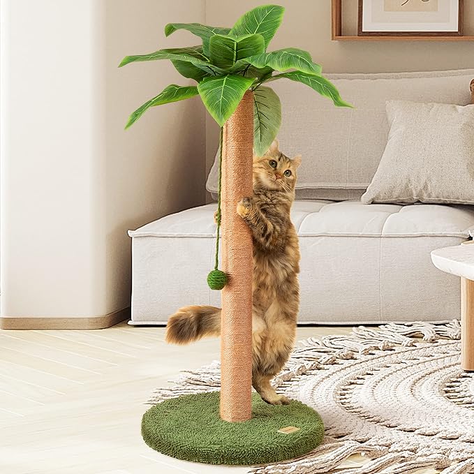 Meowoou Cat Scratching Post, 33 inch Tall with Sisal Rope, Tropical Style, Cute for Kittens