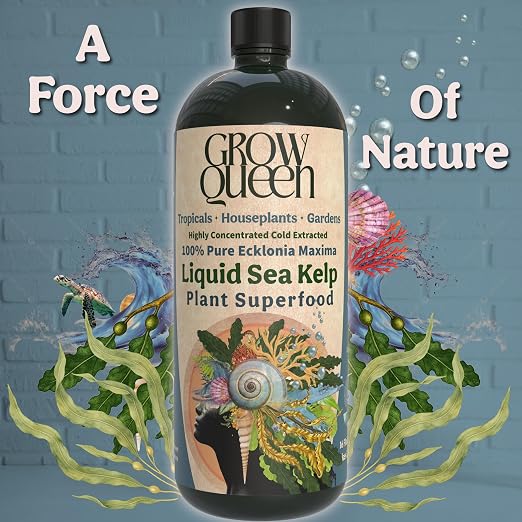 Organic Liquid Kelp & Seaweed Extract Prop Drop (Ecklonia Maxima) – Root + Plant Growth Hormone & Root Plant Food for Water Propagation, Hydroponics & Soil – 16oz 120 Gallons