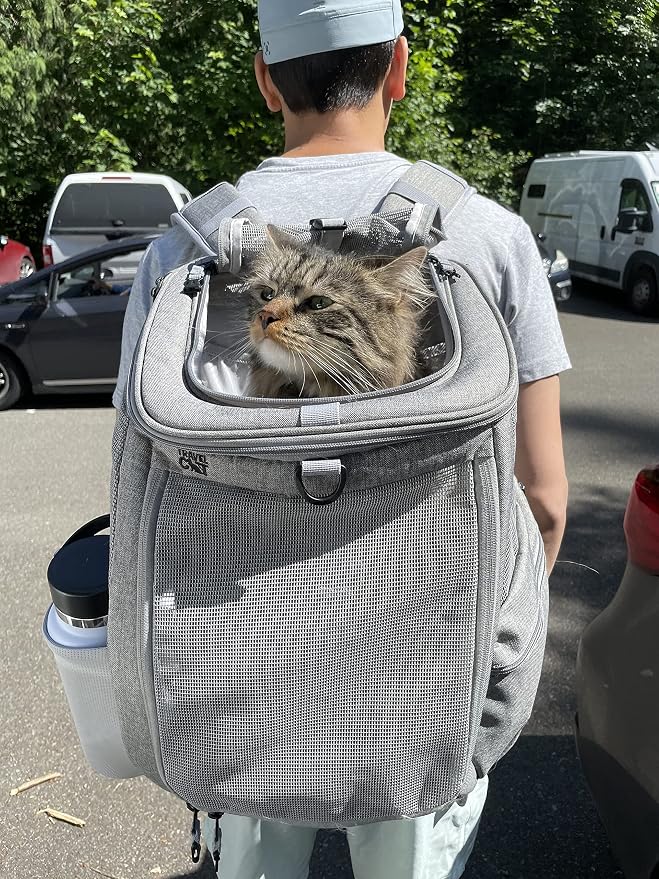 Travel Cat Grey Navigator Carrier Bag with 90s Bandana Collar - Premium Cat Backpack and Retro Collar for Travel and Outdoor Use