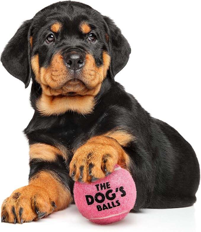 The Little Dog’s Balls Small Dog Tennis Balls 6-Pack Pink Floats in Water | Our fetch balls combine non-abrasive felt exterior and a thicker rubber core Durable Dog Toy for Outdoor Play & Training