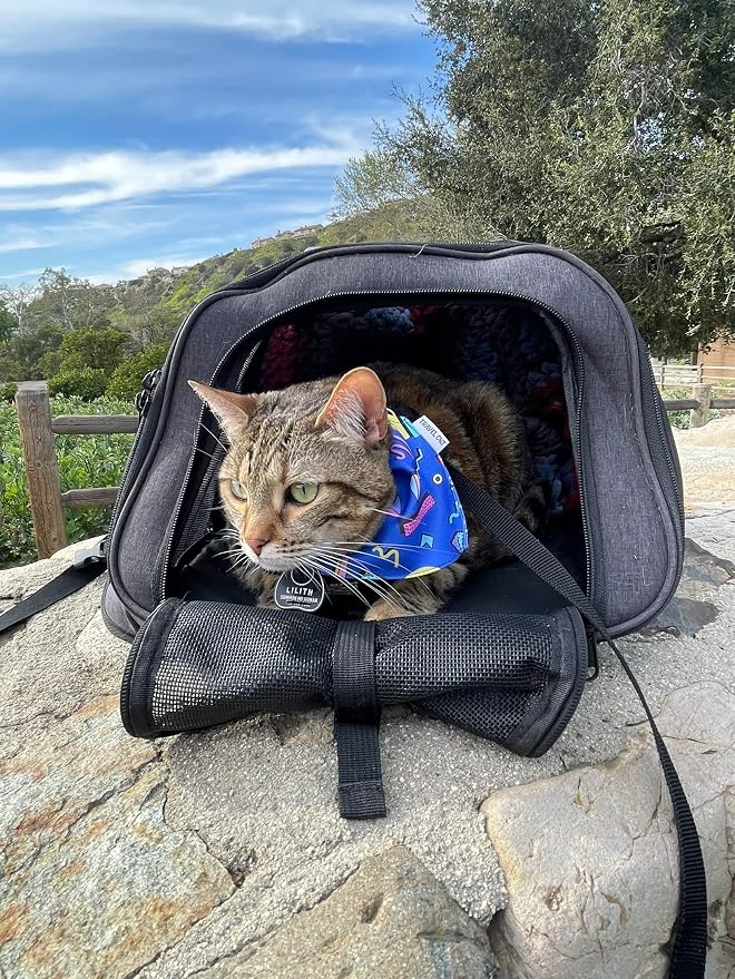 Fat Cat Deep Rose Pink Backpack Carrier with 90s Bandana Collar - Airline Approved Cat Carrier & Retro Accessory