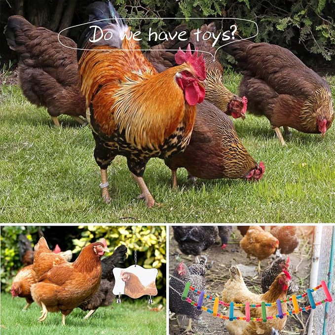 Chicken Toys for Coop 12PCS Set, KAKUNM Chicken Enrichment Toys，Including Xylophone, Swing Set, Mirror Toy, Flexible Ladder, Vegetable String Bag and Hanging Feeder, Coop Accessories for Hens