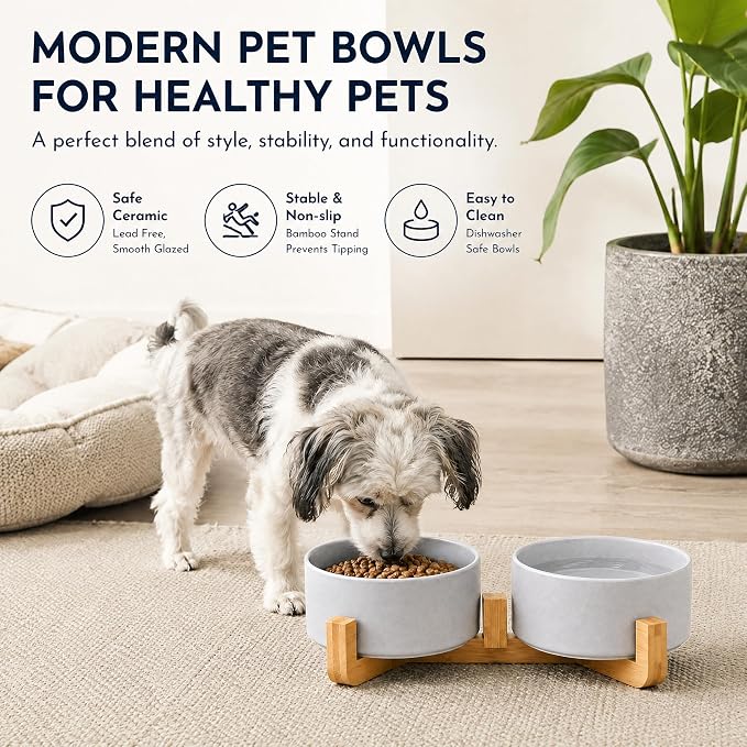 Petygooing Ceramic Dog Bowl Set with Wood Stand, Grey, 13.5OZ/5.1 in, Suitable for Cats & Small Dogs