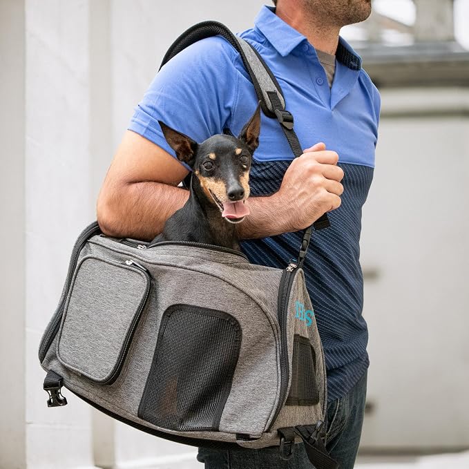 Sherpa 2-in-1 Backpack Travel Pet Carrier, Airline Approved & Guaranteed On Board - Gray, Medium