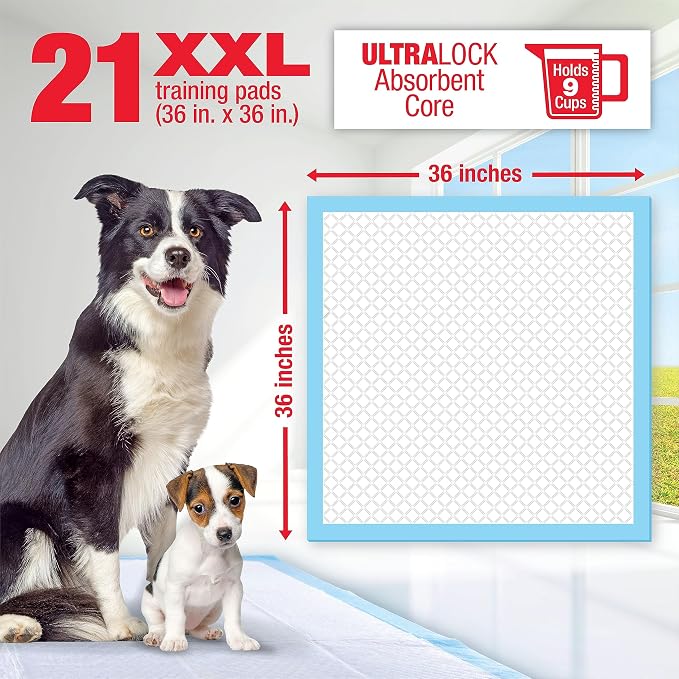 RUFFIN' IT Lil' Squirts XX-Large Mega Training Puppy Pads for Larger Dogs & Multi Dog Homes, Pad Size 3' x 3', 21 Padsper Package, Assorted (82003)