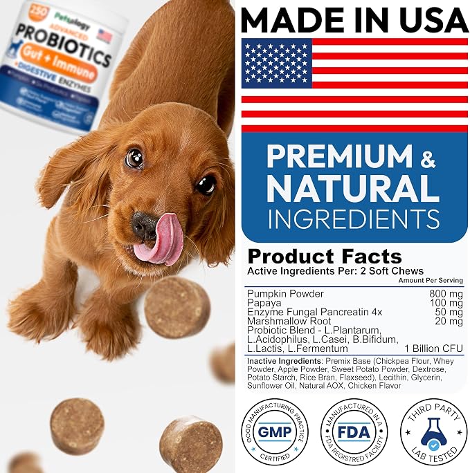 Probiotics for Dogs - 250 Dog Probiotics Chews - Digestive Enzymes & Prebiotics - Support Gut Health, Diarrhea, Gas & Constipation Relief - Itchy Skin, Allergies, Yeast Balance - Advanced Supplement