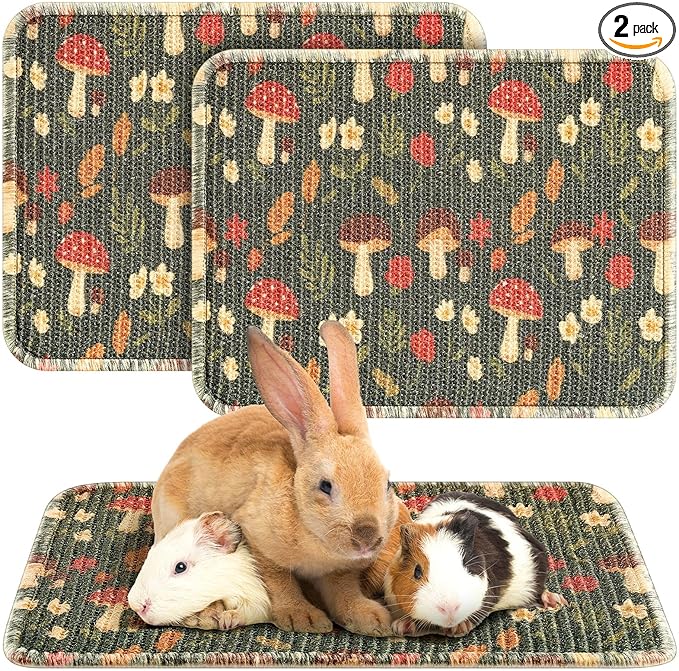Drydiet 16 x 12 Inch 2 Pcs Rabbit Scratch Mat Natural Bunny Scratching Pad Claws and Teeth Care Rabbit Mats for Cages Chew Toys Bunny Pet Cage Bedding for Biting Sleeping Nesting