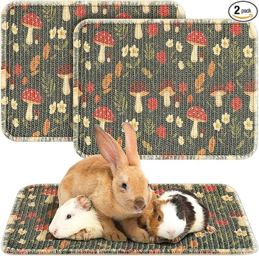Drydiet 16 x 12 Inch 2 Pcs Rabbit Scratch Mat Natural Bunny Scratching Pad Claws and Teeth Care Rabbit Mats for Cages Chew Toys Bunny Pet Cage Bedding for Biting Sleeping Nesting