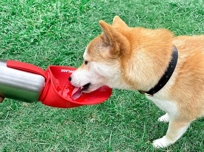 PupFlask Large Dog Water Bottle | 27 or 40 OZ Stainless Steel | Convenient Dog Drink Dispenser | Puppy Travel Water Bowl | Portable Pet Hydration Bottle | Leak Proof | Perfect Size For All Breeds