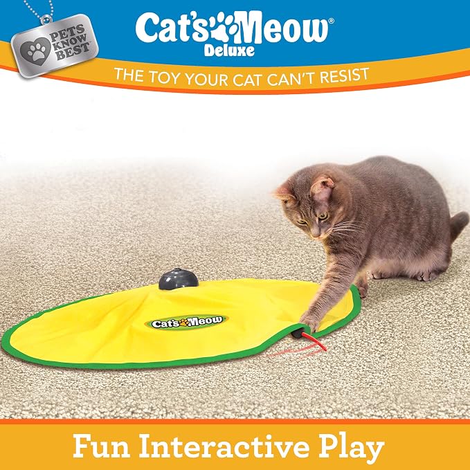 Cat's Meow | Interactive Enrichment Toy for Indoor Cats & Kittens, Automatic Movements that Simulate Mouse Tail & Hunting Prey, Self-Play Battery Powered for Physical & Mental Stimulation, All Breeds