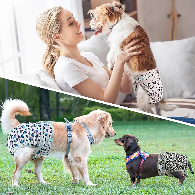 Langsprit Washable Female Dog Diapers - Doggie Reusable Diapers for Doggy Puppy Female in Period - Highly Absorbent Dog Heat Panties Leopard M