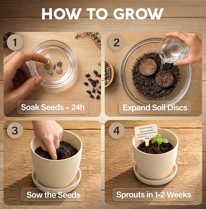 Bonsai Starter Kit – 2X Bonsai Tree | Complete Indoor Starter Kit for Growing Bonsai Plants with Tools & Planters – Gardening Gifts for Women & Men