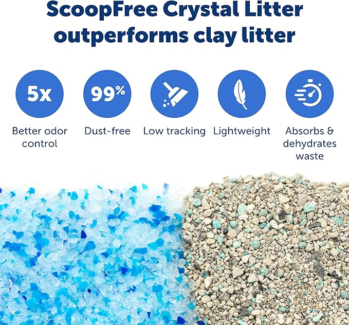 PetSafe ScoopFree Crystal Litter Tray Refills – Premium Blue Crystals, 6-Pack – Disposable Tray – Includes Leak Protection & Low Tracking Litter – Absorbs Odors on Contact