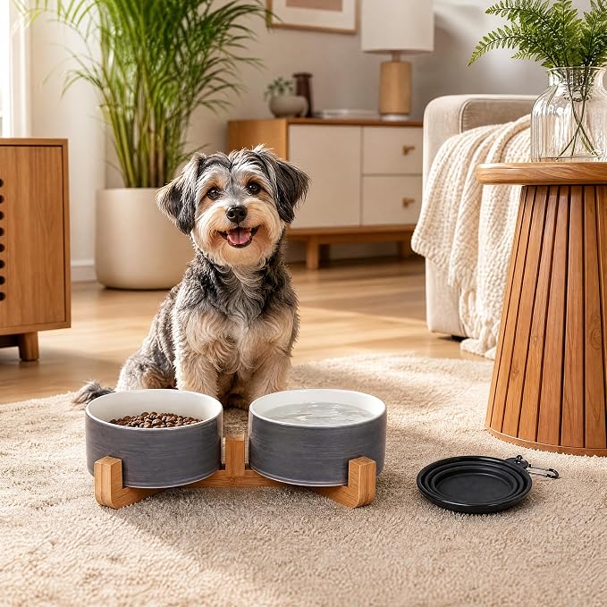 Petygooing Ceramic Cat Dog Bowl Set with Wood Stand, 13.5OZ/5.1 in, Grey White