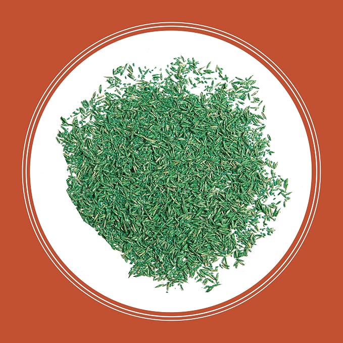 Pennington Bermudagrass Grass Seeds for Lawn, 15 lb