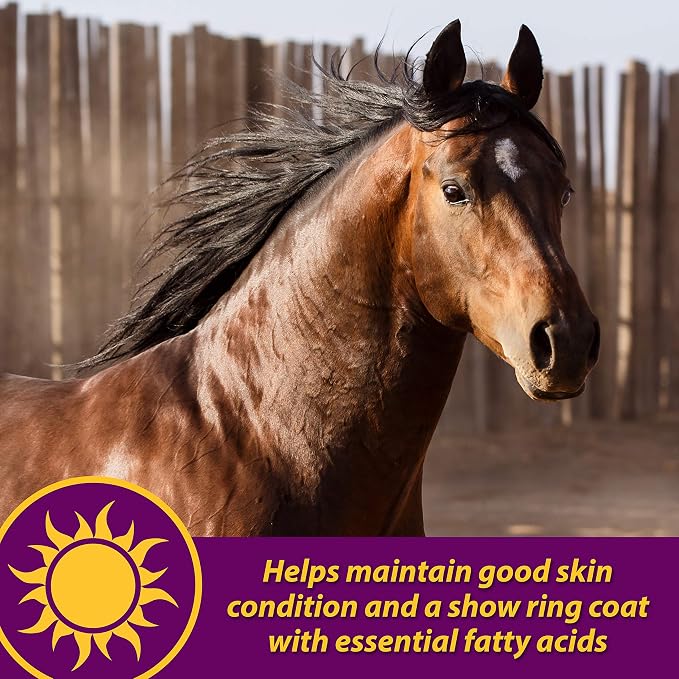 Horse Health Joint Combo Hoof & Coat, Glucosamin, Chrondroitin, Vitamin C, MSM, Biotin, Lysine, ZInc, Omega 3 and 6 Fatty Acids, 64 day supply