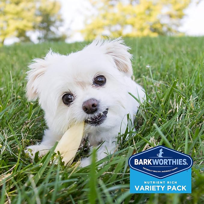 Barkworthies Puppy Variety Pack - 5 Count (Pack of 1) - Protein-Rich, All-Natural, Easily Digestible, Rawhide Alternative, Promotes Dental Health