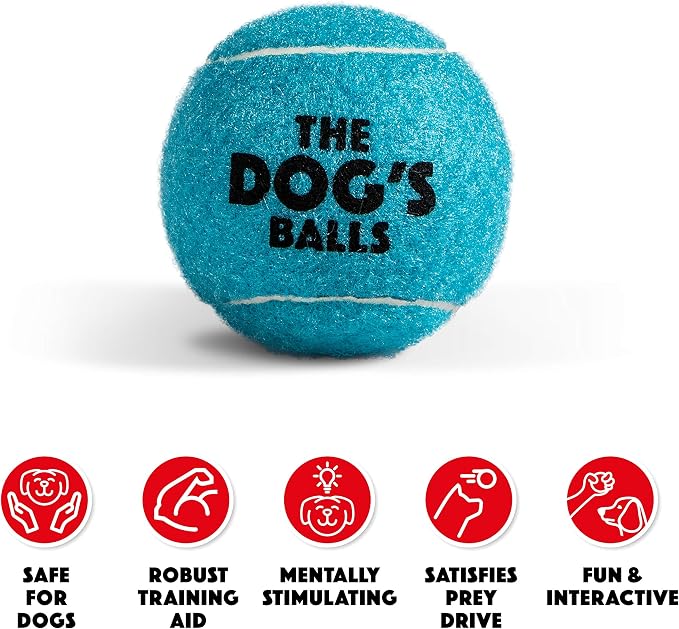 The Dog's Balls Dog Tennis Balls Tough 2.5" 12-Pack Blue Floats in Water | Our fetch balls combine non-abrasive felt exterior and a thicker rubber core Durable Dog Toy for Outdoor Play & Training