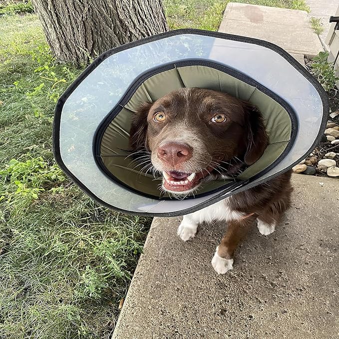 Stop Licking Protective Collar Wounds Dog Collar Health Medicals for Large Media Canines Post Surgeries Dog