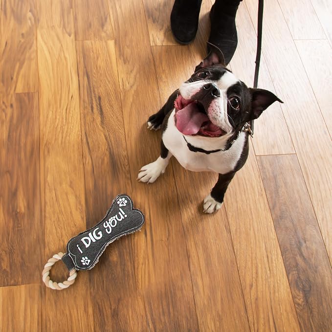 Pavilion Gift Company 45609 Pavilion's Pets-Gray Bone Canvas and Rope Dog Squeaky Toy-I Dig YouDog Toy, Large Breed