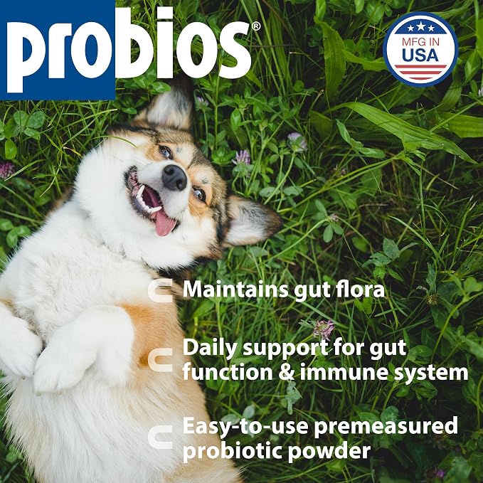 Probios Intelliflora for Dogs, Daily Probiotic Powder with Prebiotics, 200 Million CFU/g, Supports Gut Health Digestion and Immune Health, Chicken Liver, 30 Sachets (Pack of 2)