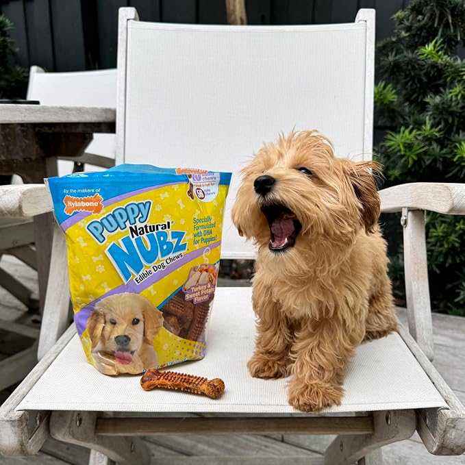 Nylabone Nubz Natural Dog Chew Treats for Puppies, Long Lasting Dog Bones Made in USA, Puppy Training Treats, Turkey & Sweet Potato Flavor, for Small Dogs Up to 25 lbs. (28 Count)