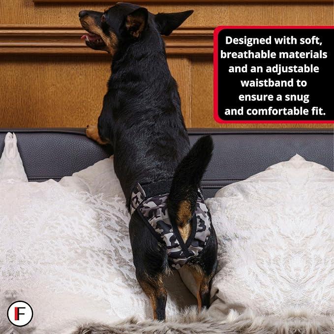 FINNERO Brenda Reusable Dog Diaper, Leak-Proof, Adjustable, Heat & Incontinence Protection, XXS – Gray
