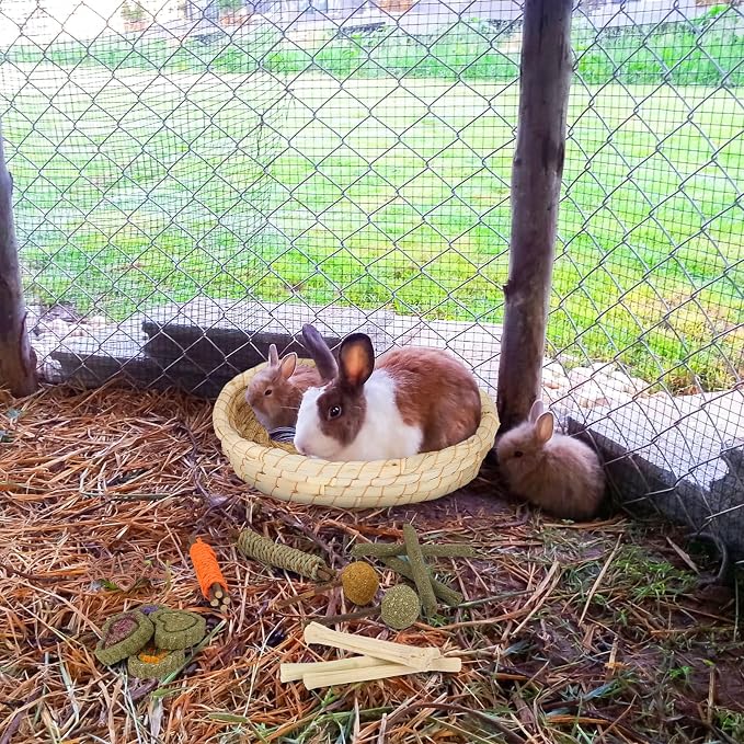 Rabbit Toys Chew Treats Guinea Pig Bed, Bunny Chew Toys Timothy Hay Bamboo Chew Sticks, Grass Ball Carrot Corn Lollipop Toys for Rabbits Guinea Pigs Chinchillas Hamsters Teeth Grinding
