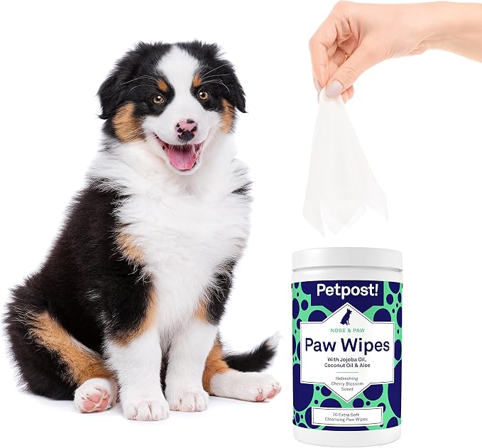 Petpost Large Paw Wipes for Dogs | 70 Count Dog Paw Cleaner Wipes with Coconut Oil, Jojoba Oil & Aloe | Gentle Pet Wipes for Paws | Ultra Soft Cotton Pads, Cherry Blossom Scent