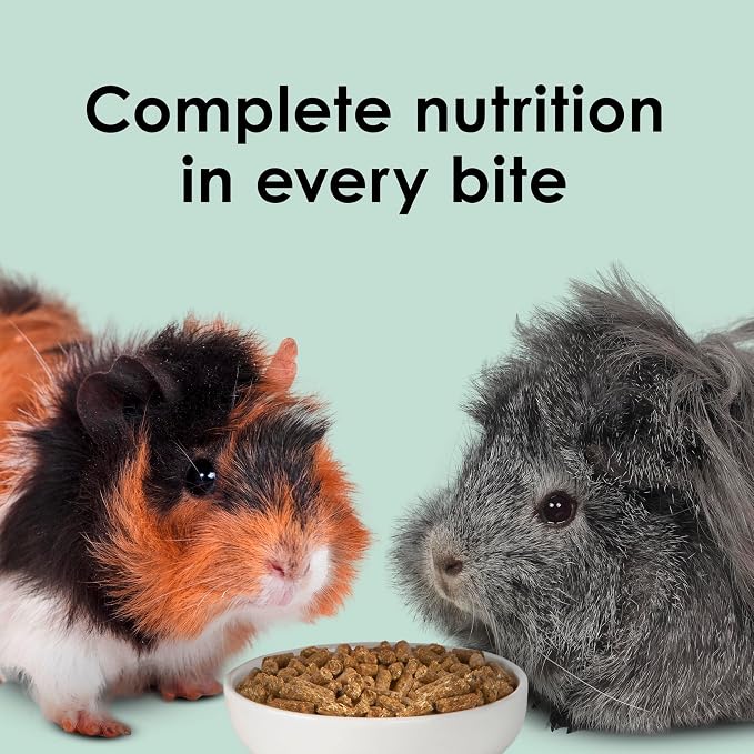 Kaytee Timothy Complete Guinea Pig Food, Made with Timothy Hay, High in Fiber, Supports Dental Health and Digestion, Long-Lasting Vitamin C, 25 Pounds