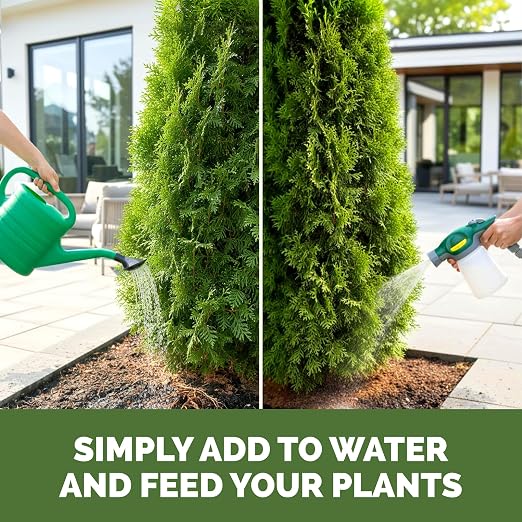Arborvitae Tree Fertilizer – Liquid Plant Food for Fuller Green Foliage, Faster Growth & Stronger Root Development, 32 oz