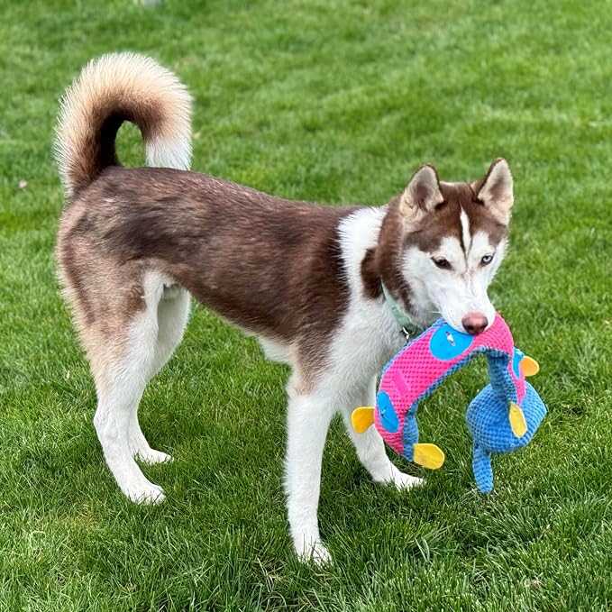 SPOT Snuffle Roll Puzzle Toy, Interactive Feeding Toy for Dogs, Mental Stimulation, 3 Treat Pockets, Crinkle & 2 Squeakers, 25 Inch, Assorted Styles