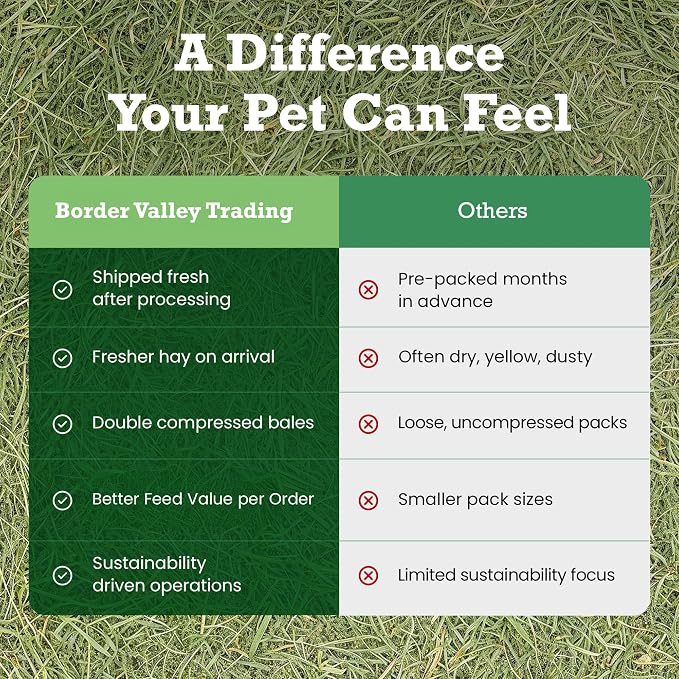 Border Valley Timothy Hay Bale in Bag, 40 lb - High Fiber Grass Hay for Rabbits, Guinea Pigs, Chinchillas, Tortoises, Horses and Livestock - Classic Coarse Grass Hay, Farm-to-Home Freshness