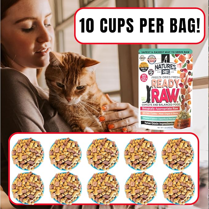 Nature's Diet Ready Raw : Freeze-Dried Raw Cat Food, Salmon & Whitefish, Human Grade, High Pressure Pasteurized (HPP), 96% Meat, Organ, Bone, Safe & Natural, Dry or Wet Feeding