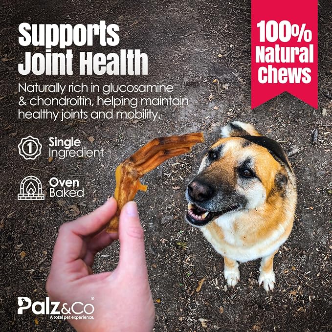 Palz&Co Duck Feet for Dogs - 10 Pack of 100% Natural Single Ingredient Dog Treats, Grain-Free, High Protein, Nail Free, Crunchy & Chewy Texture