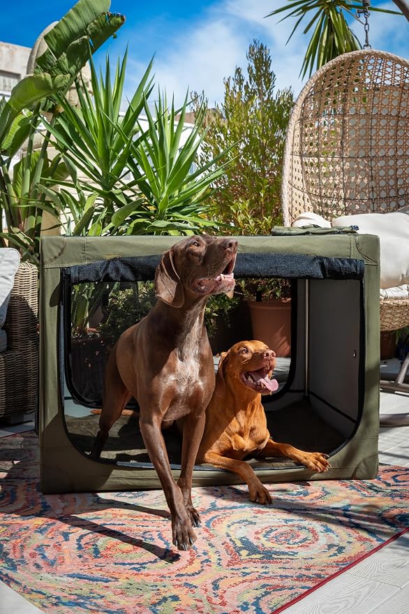 Noah & Paw Collapsible Dog Crate 42 Inch, XXL Dog Crate for XXL, XL, Large Breeds, Travel Kennel for Car, Includes Pet Mat for Pet Cage, 2 Storage Pockets, Handbag, 10mm Locking Zippers 42 * 31 * 31