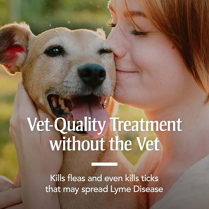 PetArmor Flea & Tick Collar for Dogs, Kills Fleas & Ticks, Long Lasting Protection for 6 Months, Water Resistant, One Size Fits All.