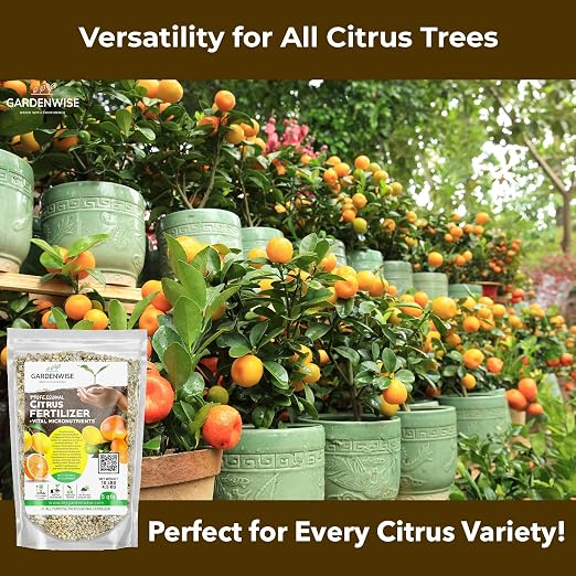 GARDENWISE Professional Citrus Fertilizer + Vital Micronutrients; Perfect Balanced NPK for All Citrus; for Indoor and Outdoor Plants; Orange, Lime, Avocado and Lemon Tree Fertilizer (5 QUARTS)