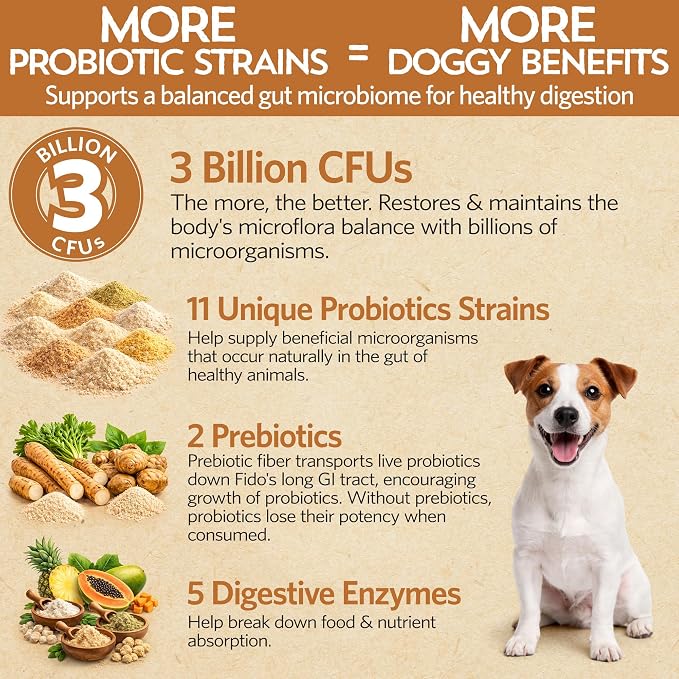Fidobiotics Good Guts Probiotics for Dogs – Dog Probiotic Powder for Digestive Health, Gas Relief & Firmer Stools, 3B CFUs, Enzymes & Prebiotics, Small Dogs, Puppies & Adults - Pack of 2