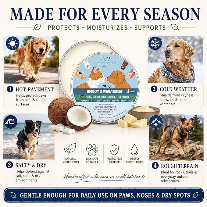 Dog & Cat Snout Paw Balm with Beef Tallow – Lick Safe. Paw & Nose Moisturizer for Dry, Cracked Paws – Natural Protective Balm for Dogs & Cats – 4 oz