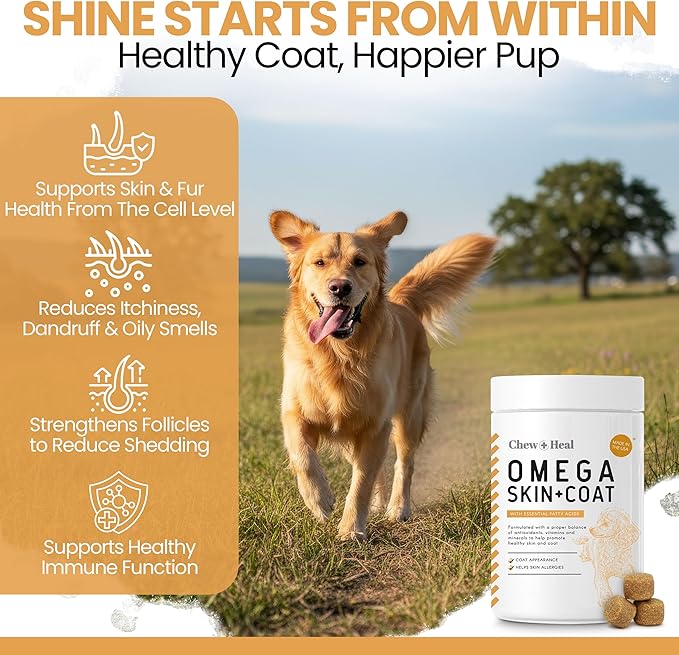 Omega 3 Fish Oil for Dogs - 180 Soft Chews - Itch Relief, Shedding & Hot Spots - Dog Allergy Relief - Salmon Oil Skin & Coat Supplement - EPA DHA - Chicken Flavor - Made in USA | Chew + Heal