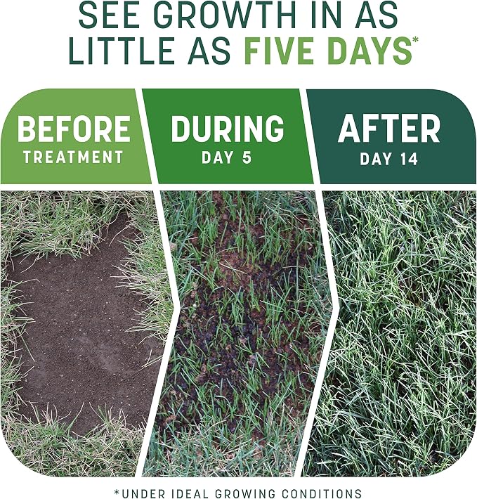 Pennington Smart Patch Grass Seeds for Lawn, Sun and Shade Lawn Grass Repair Mix, 10 LB